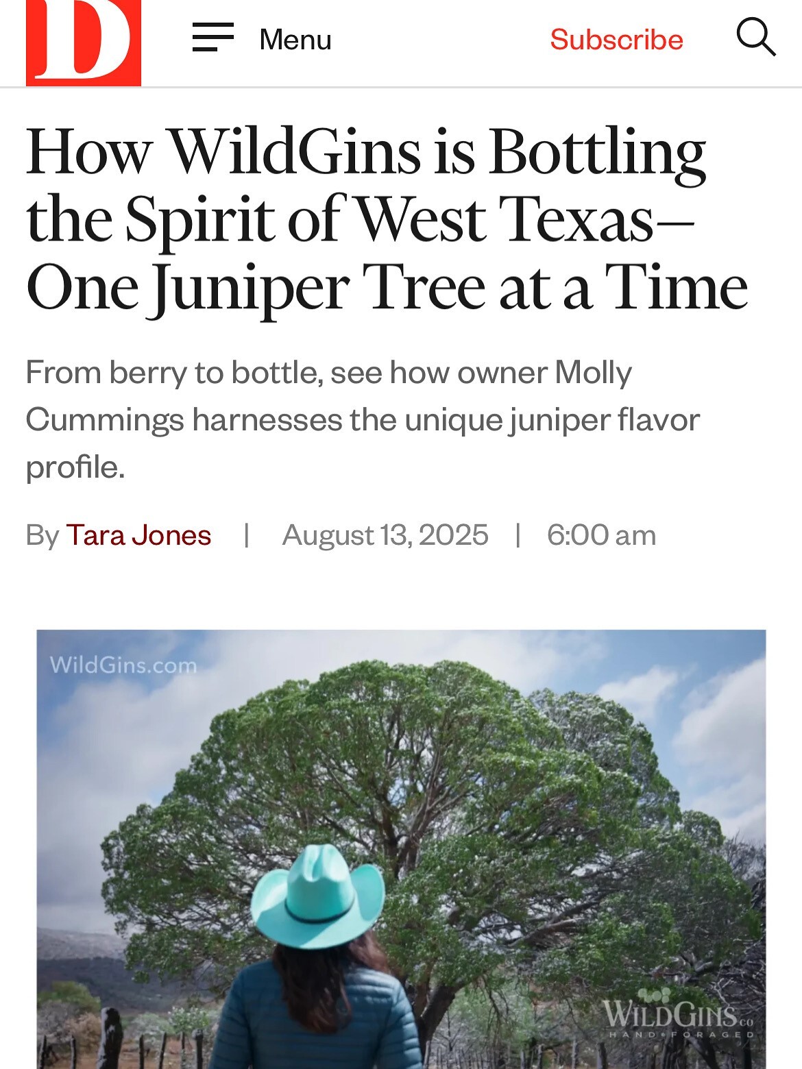 From Berry to Bottle: The Uniquely Texan Story of WildGins