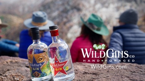WildGins - A Sustainable Spirit